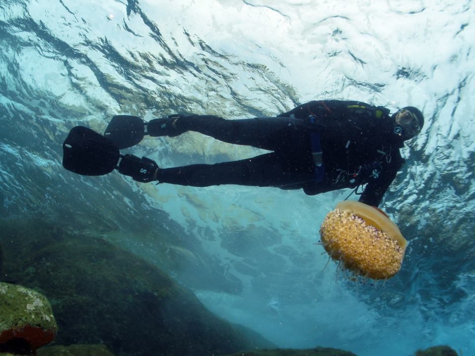 25 jaar Mega Diving